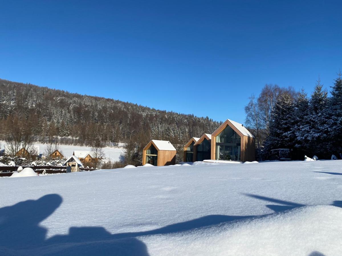 Domki Pod Lasem - Domek Brzozowy Stronie Slaskie Exterior foto