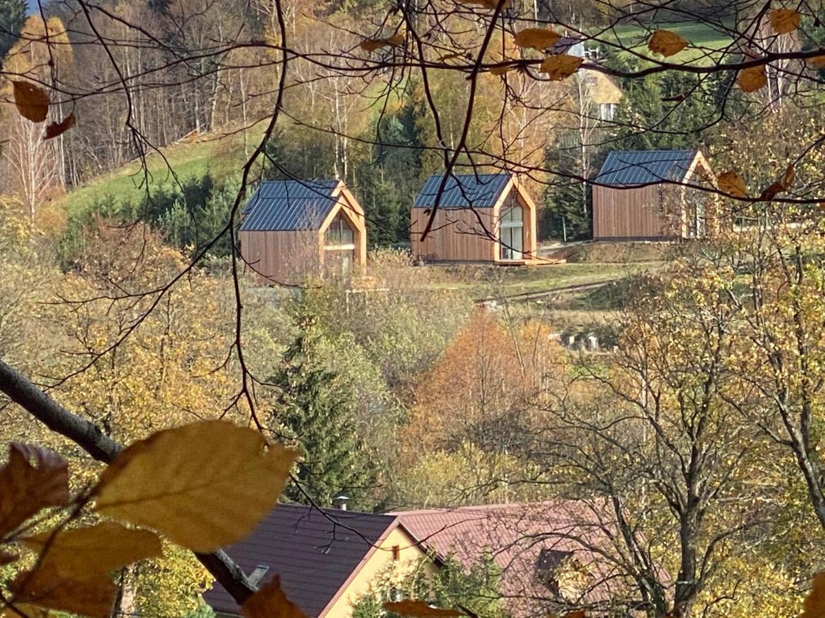 Domki Pod Lasem - Domek Brzozowy Stronie Slaskie Exterior foto