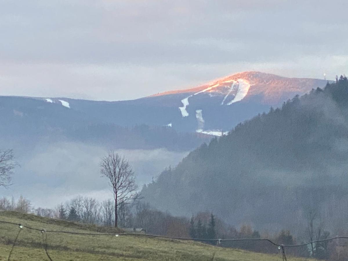 Domki Pod Lasem - Domek Brzozowy Stronie Slaskie Exterior foto