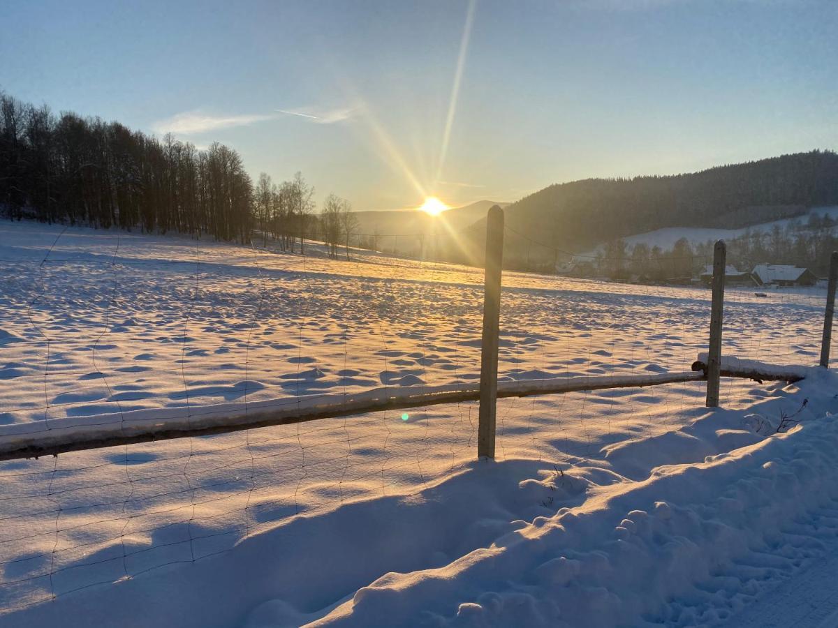 Domki Pod Lasem - Domek Brzozowy Stronie Slaskie Exterior foto