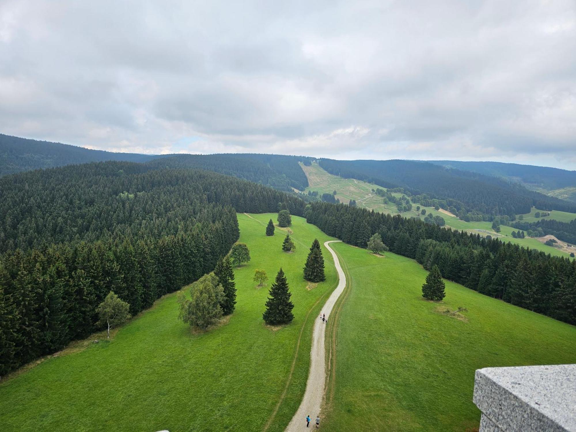 Domki Pod Lasem - Domek Brzozowy Stronie Slaskie Exterior foto