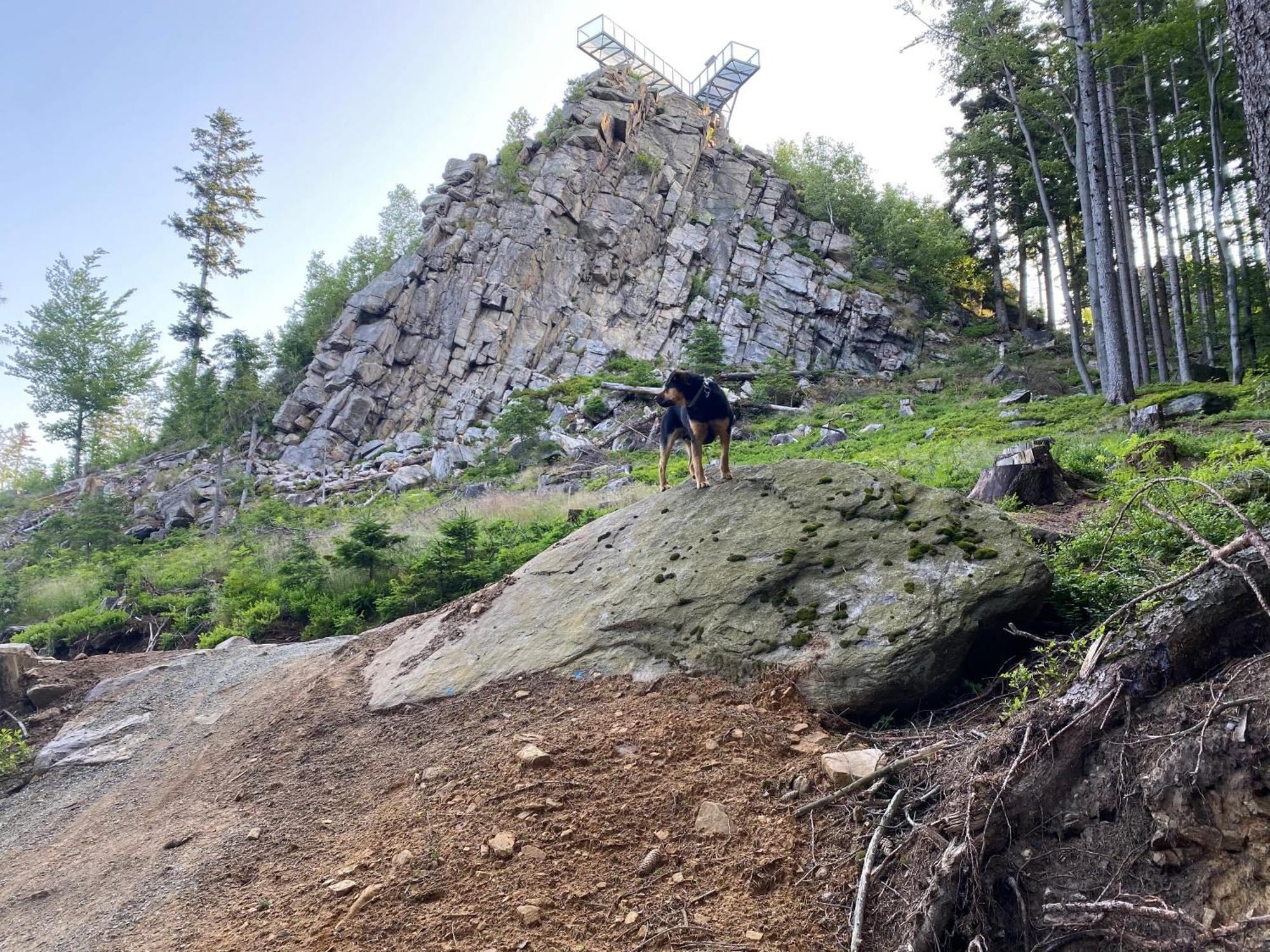 Domki Pod Lasem - Domek Brzozowy Stronie Slaskie Exterior foto